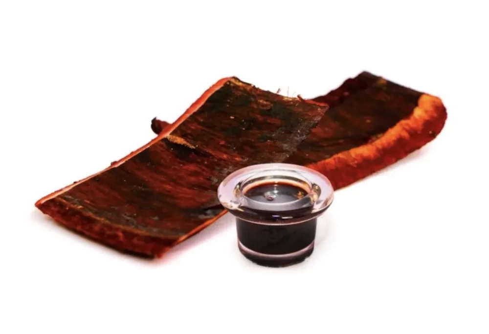 Dragons Blood