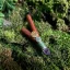 Kuripe Bloodwood Aya & Crystal