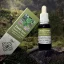 Dragon's Blood Premium