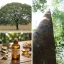 Copaiba Rapé