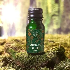 Canela de Velho Rapé