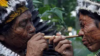 Blowing Rapé one to another with Tepi tribe
