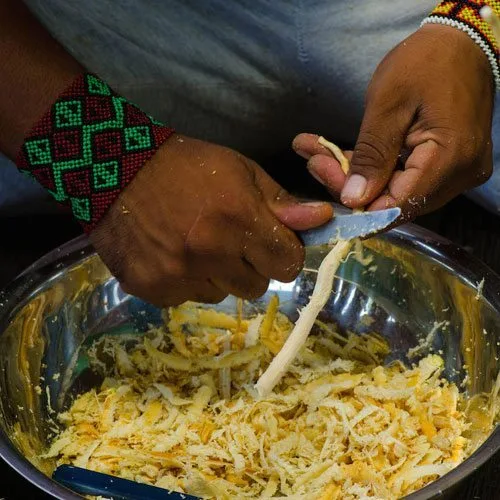 A man finely scraping Sananga roots into a bowl during traditional preparation.